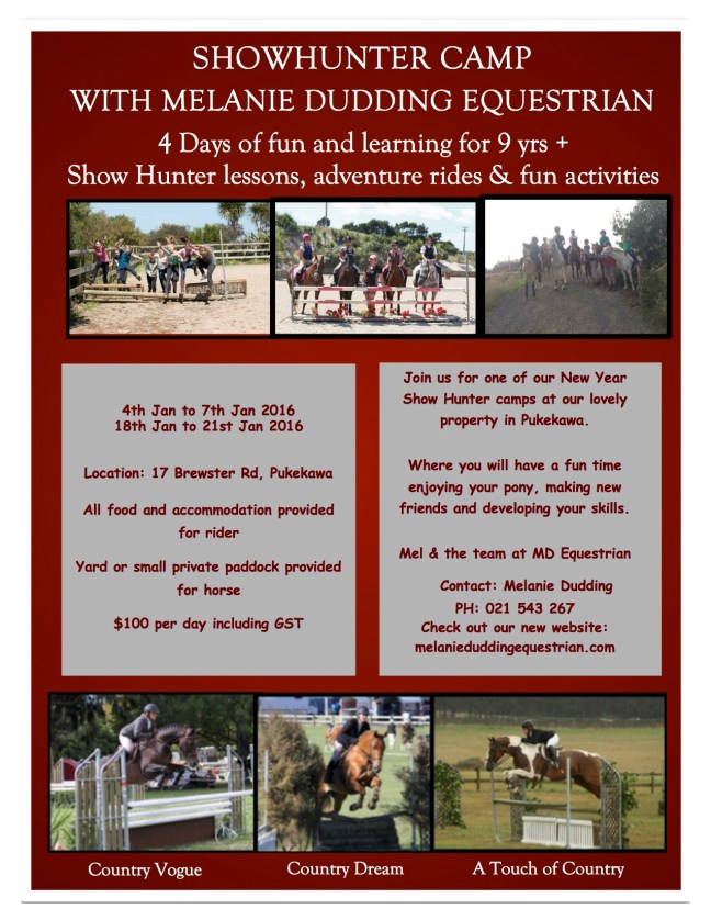 Flier January 2016.jpg